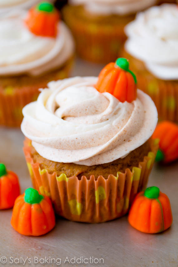 Fall Cupcakes Ideas
 Cute and Delicious Fall Cupcakes to Keep You Cheerful in