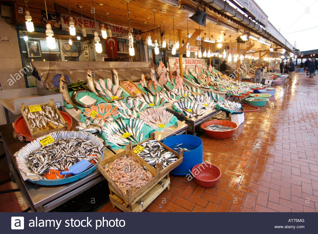 Fresh Market Thanksgiving Dinner 2019
 Fresh fish for sale at the Kumkapi fish market in Istanbul