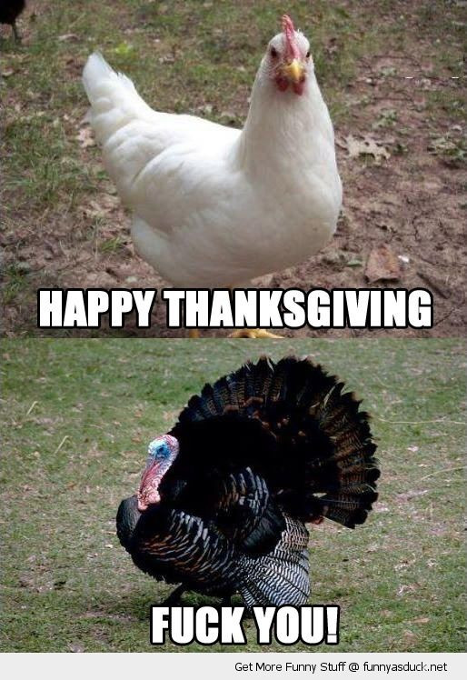 Funny Thanksgiving Turkey Pictures
 Daily Morning Awesomeness Thanksgiving Edition 53 s