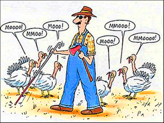 Funny Turkey Pics For Thanksgiving
 Funny Thanksgiving pilation 20 Pics