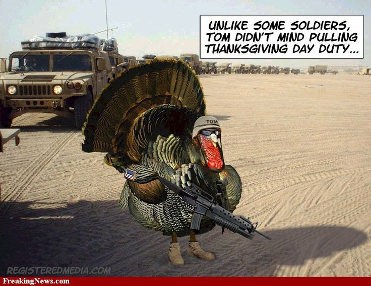 Funny Turkey Pics For Thanksgiving
 thanksgiving turkey