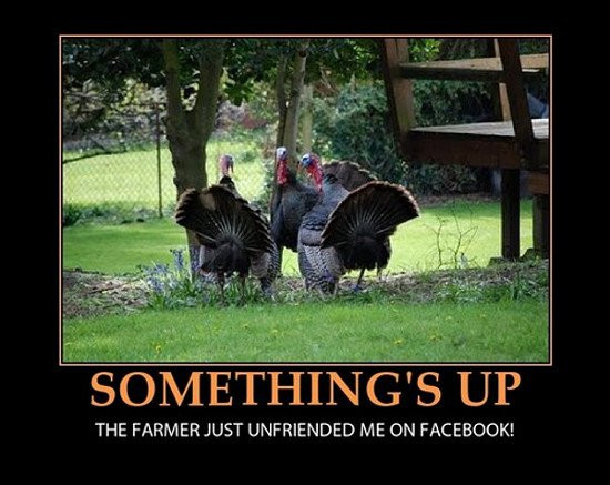 Funny Turkey Pics For Thanksgiving
 12 Really Hilarious and Funny Turkey Thanksgiving Memes