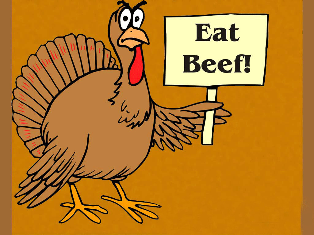 Funny Turkey Pics For Thanksgiving
 Free Funny Thanksgiving Wallpapers Wallpaper Cave