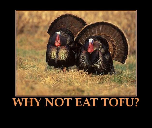 Funny Turkey Pics For Thanksgiving
 Funny Thanksgiving 16 Pics