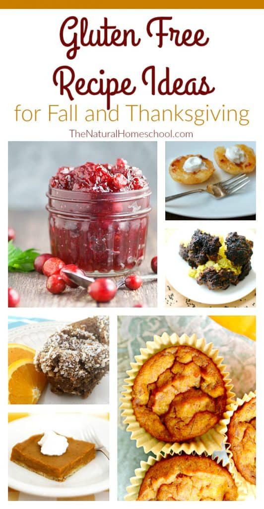 Gluten Free Fall Desserts
 Yummy & Easy Fall Desserts Recipes The Natural Homeschool