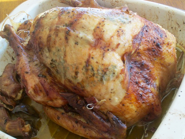 Gordon Ramsay Christmas Turkey Gravy
 Gordon Ramsay’s Christmas Turkey with Gravy – My Favourite