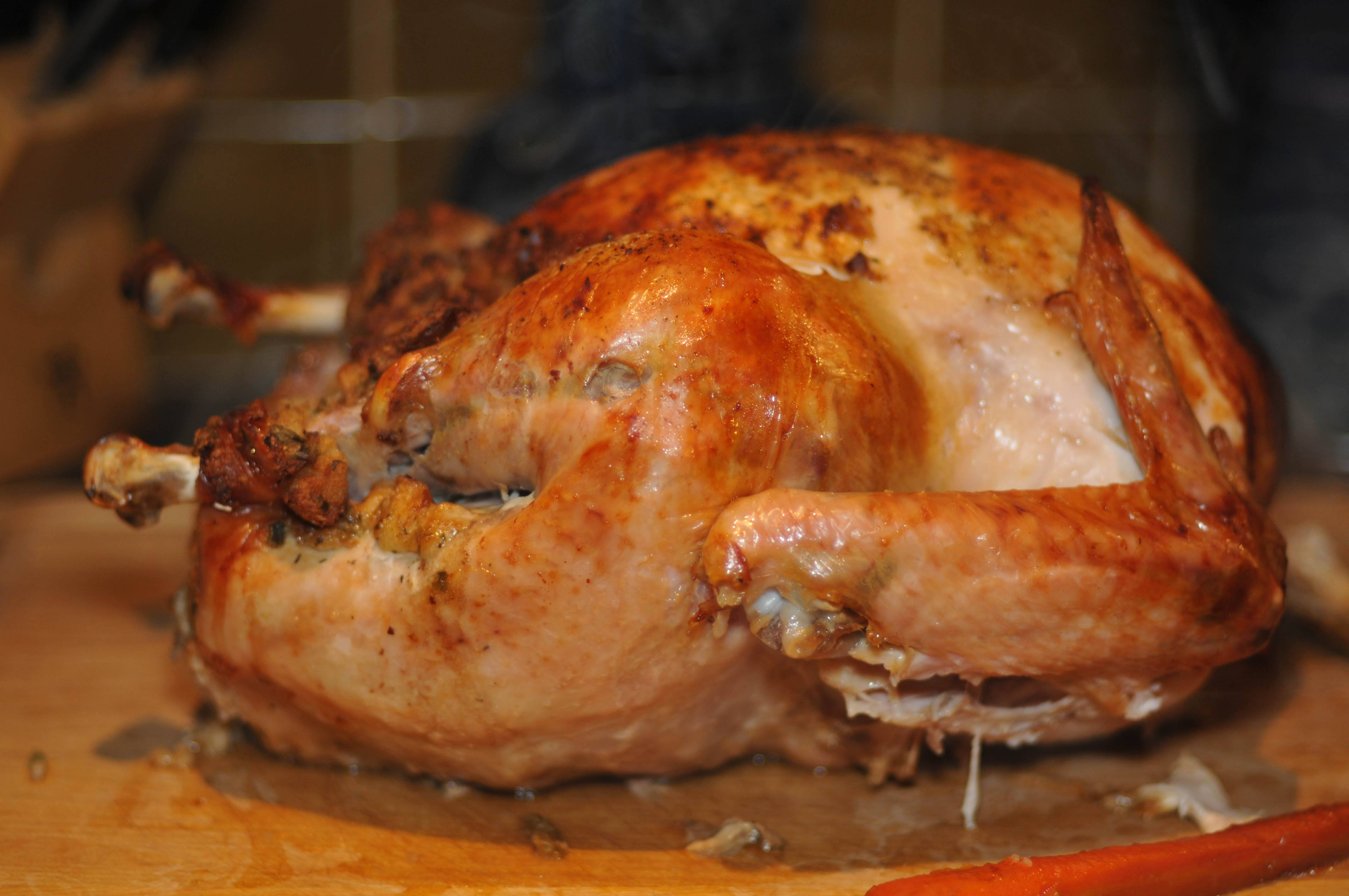 Gracias The Thanksgiving Turkey
 celebracion de accion de gracias o thanksgiving