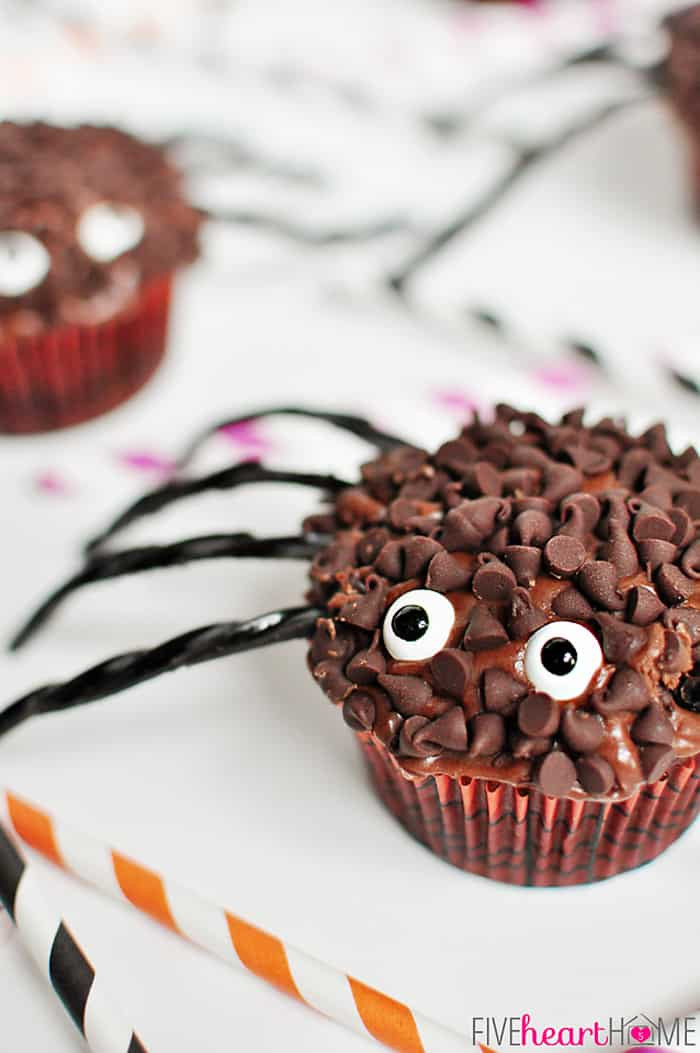 Halloween Spider Cupcakes
 Spider Cupcakes for Halloween