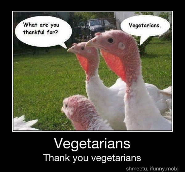Happy Thanksgiving Vegetarian
 17 Best images about Nutrition Humor on Pinterest