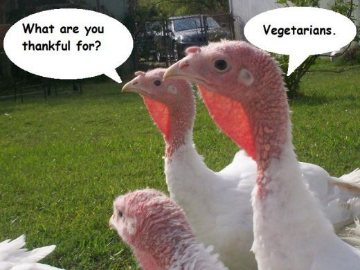 Happy Thanksgiving Vegetarian
 Marisa Hopkins Living the Creative Life How to Have a