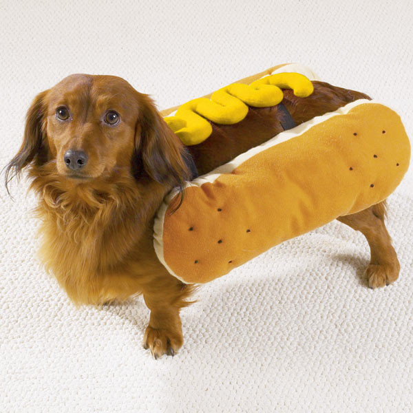 Hot Dog Halloween Costume For Dogs
 Hot Dog with Mustard Dog Halloween Costume