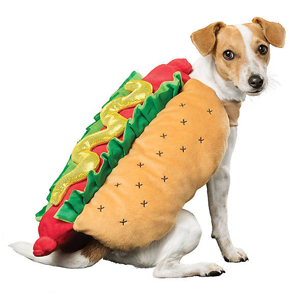 Hot Dog Halloween Costume For Dogs
 Thrills & Chills™ Halloween Hot Dog Costume
