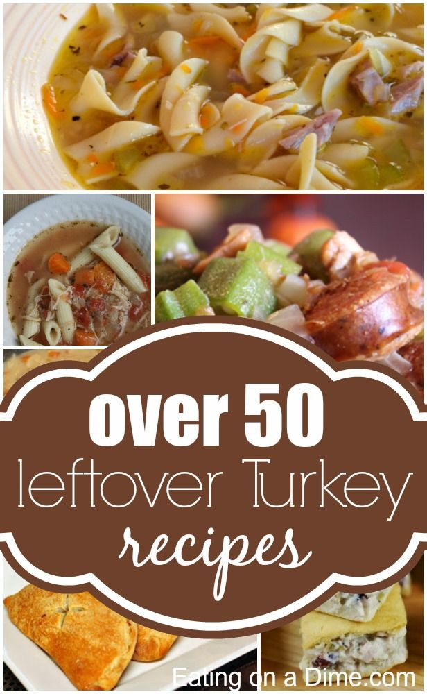 Leftover Thanksgiving Turkey Recipes
 Leftover Turkey Recipes 50 Easy Turkey Leftovers recipes