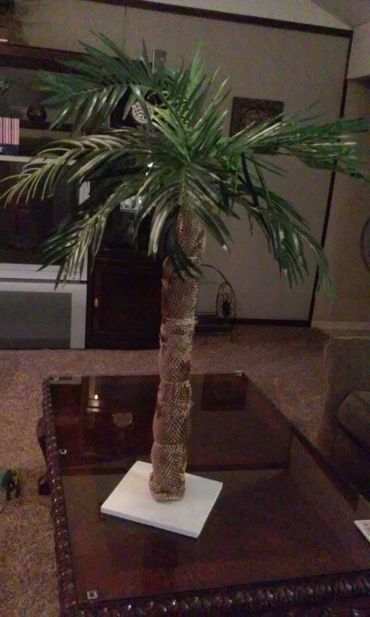 Noodles And Company Sioux Falls Sd
 Homemade palm tree made with pvc pool noodle over the top