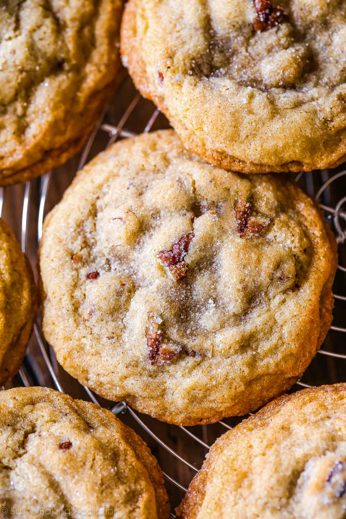 Pecan Christmas Cookies
 Butter Pecan Cookies