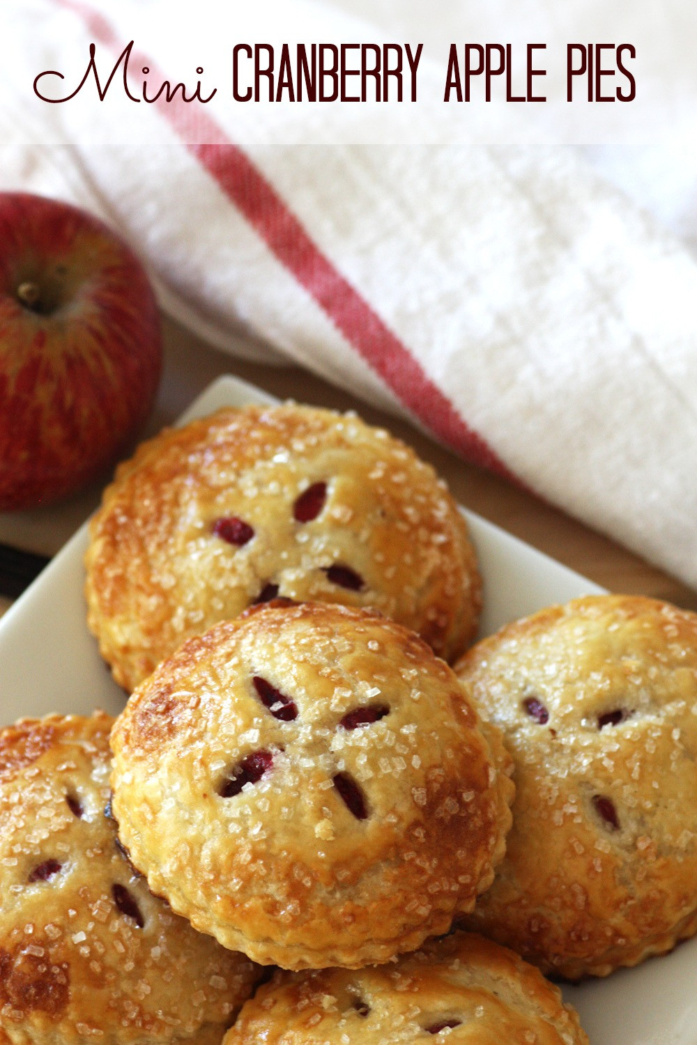 Pie Recipes For Thanksgiving
 Mini Cranberry Apple Pies RECIPE