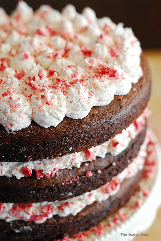 Recipe For Christmas Desserts
 Holiday Desserts Chocolate Peppermint Torte