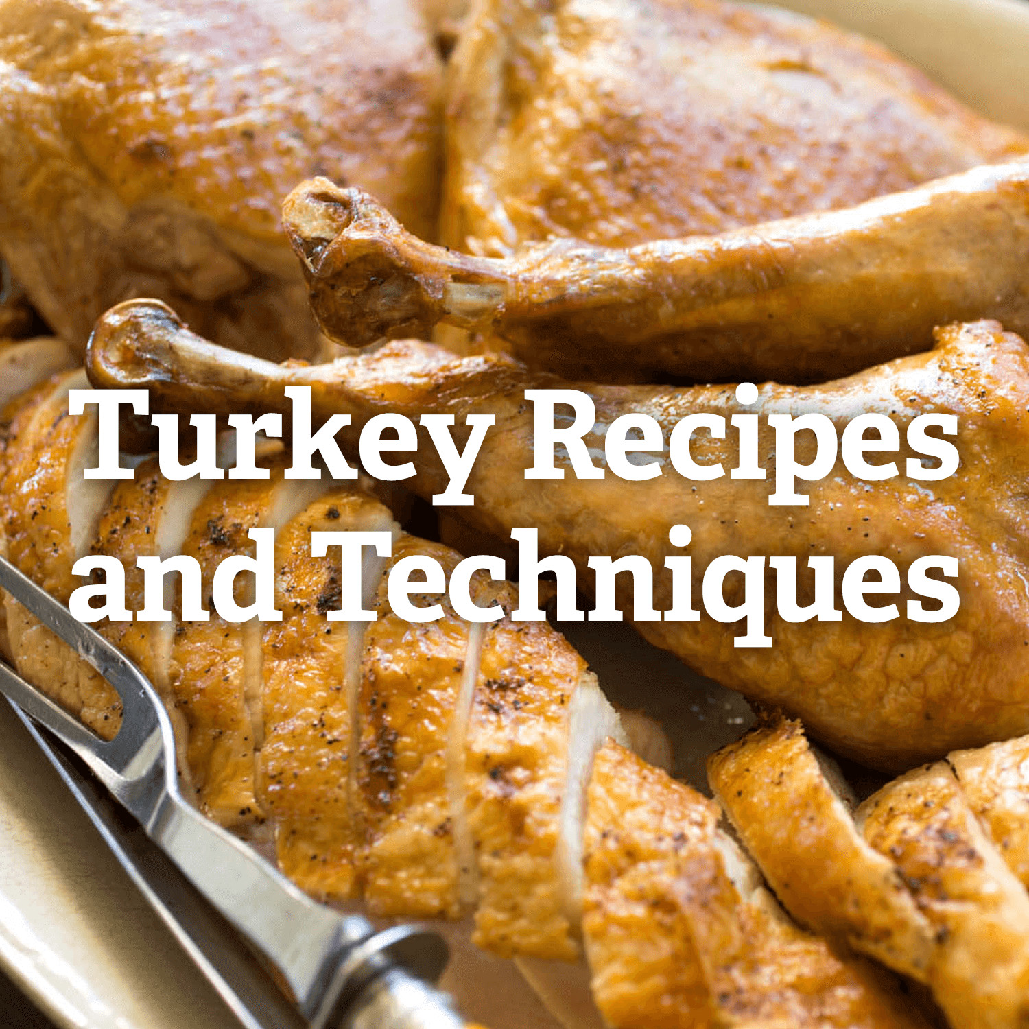 Recipe For Thanksgiving Turkey
 Thanksgiving Turkey Recipes and Techniques