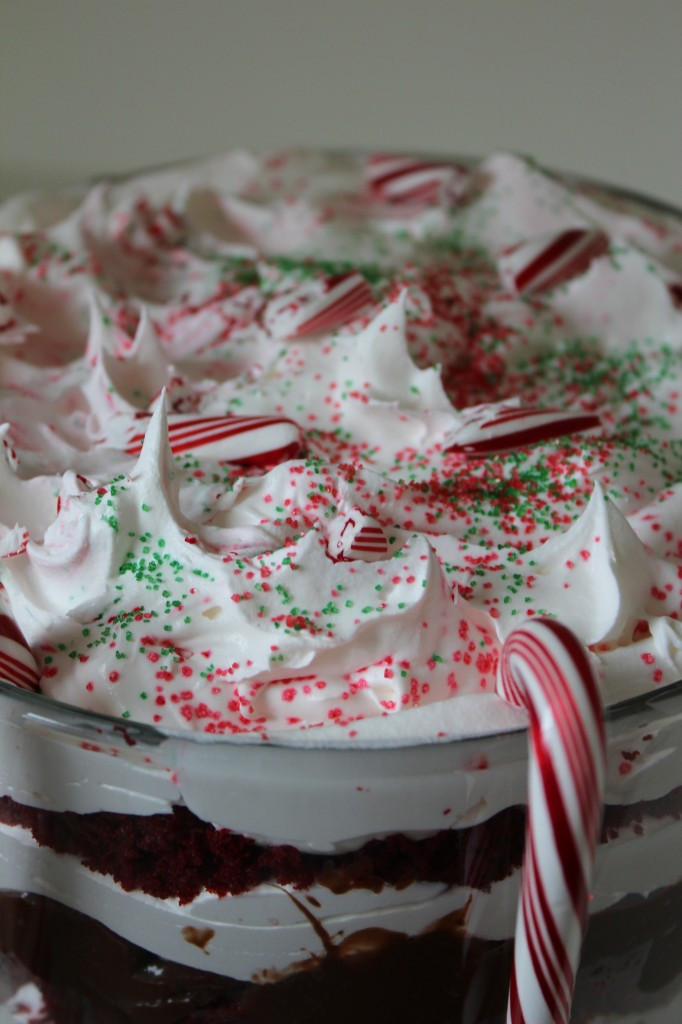 Simple Christmas Desserts Recipes
 Christmas Trifle Recipe Frugal Fanatic