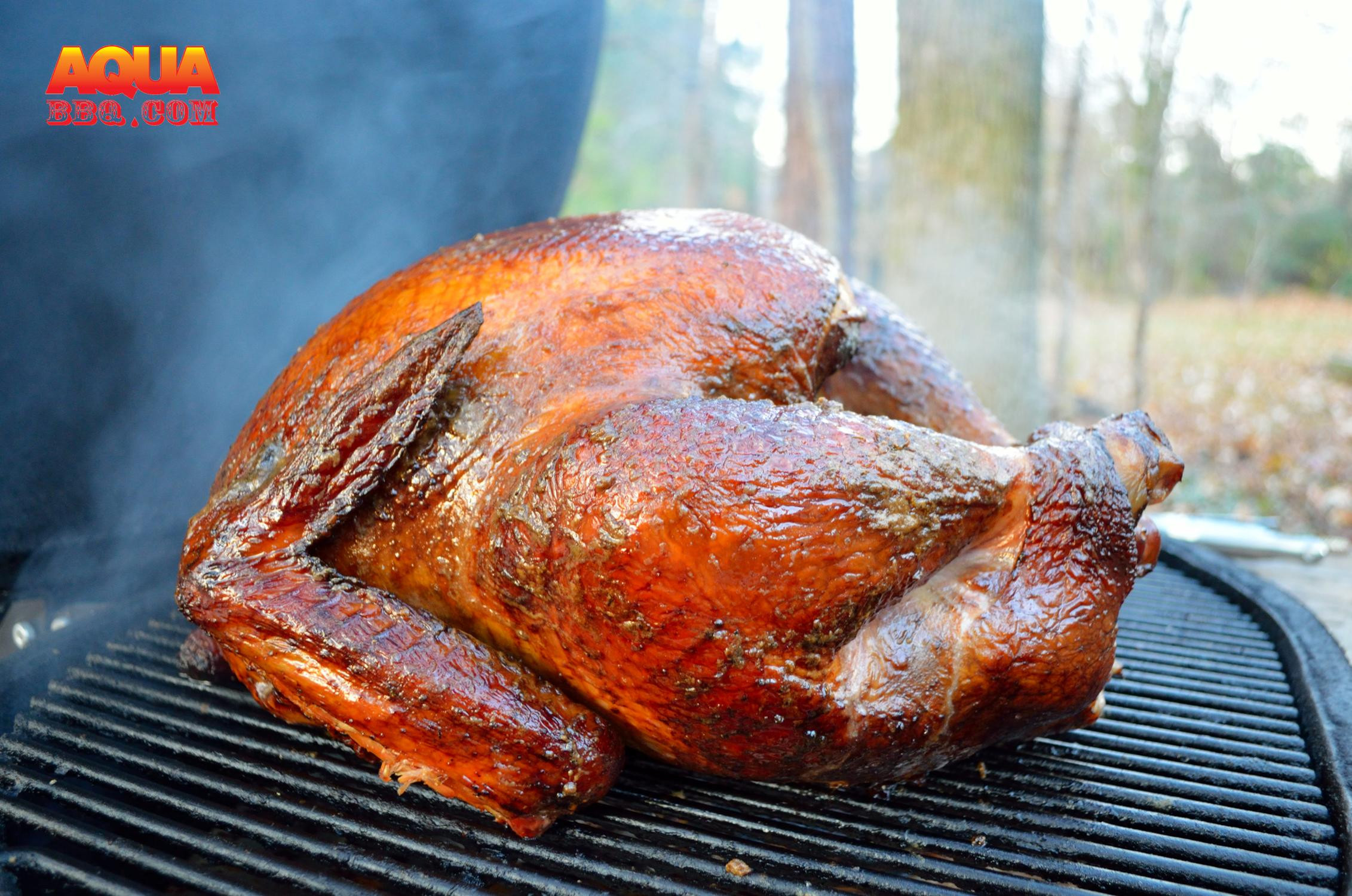 Smoked Thanksgiving Turkey
 Primo Smoked Turkey Primo Grills & Smokers