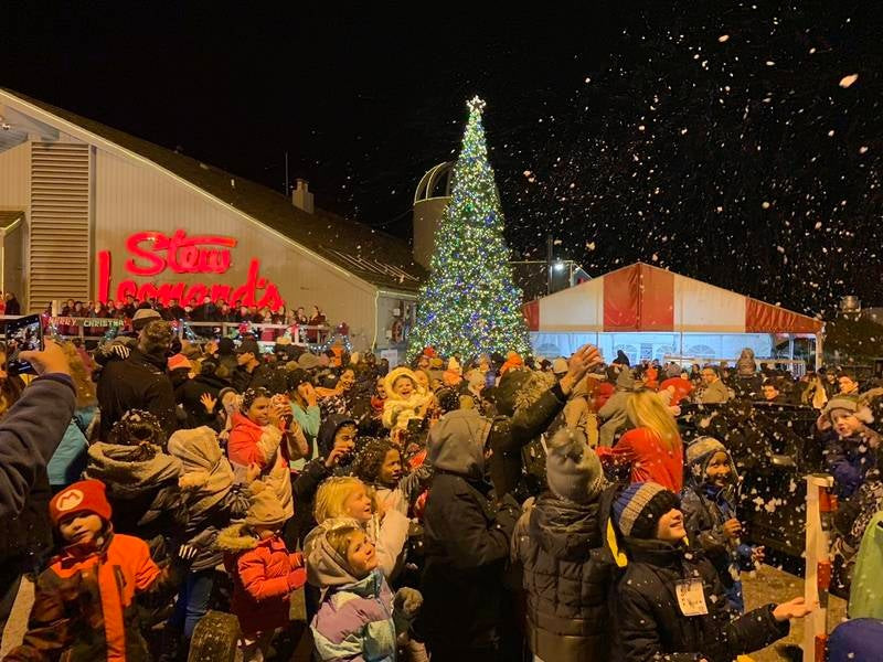 Stew Leonard'S Christmas Trees
 Stew Leonard s Hosts 2018 Christmas Tree Lighting In