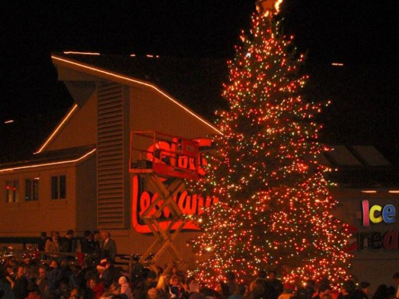 Stew Leonard'S Christmas Trees
 Stew Leonard s Hosted Rescheduled Norwalk Christmas Tree
