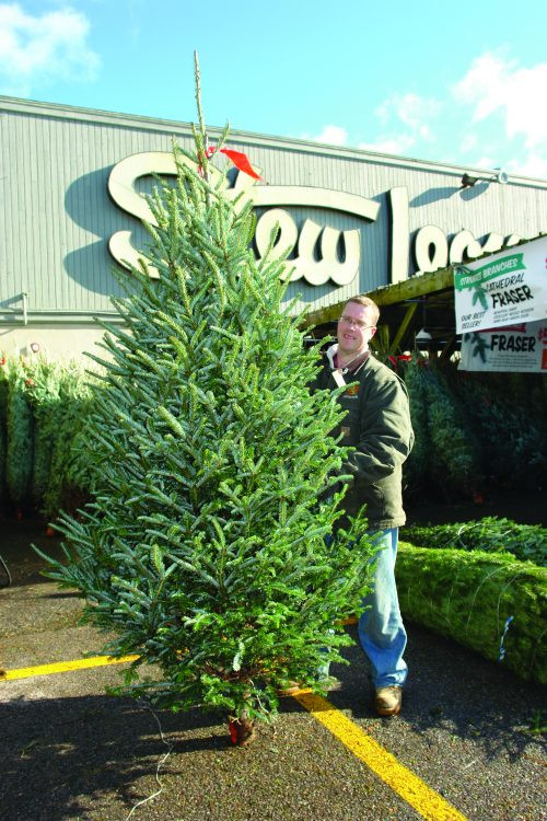 Stew Leonard'S Christmas Trees
 How to Pick the Perfect Christmas Tree at Stew’s