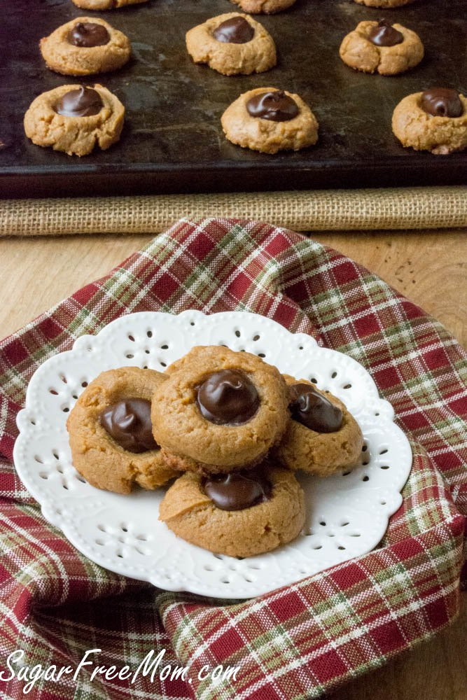 Sugar Free Christmas Cookies Recipe
 21 Sugar Free Low Carb Holiday Cookie Recipes