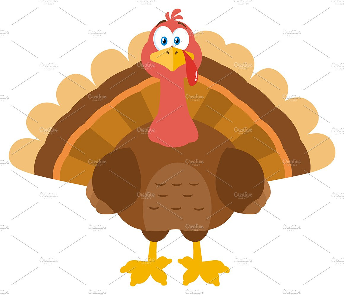 Thanksgiving Cartoon Turkey
 Turkey Bird Cartoon Mascot Character Illustrations