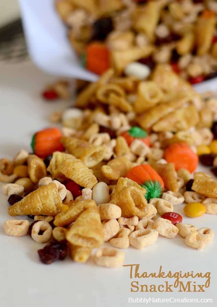 Thanksgiving Snacks Recipes
 Thanksgiving Snack Mix Sprinkle Some Fun