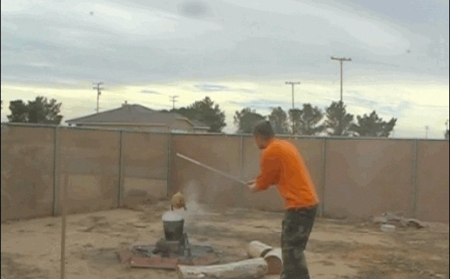 Thanksgiving Turkey Animated Gif
 Fail GIF Find & on GIPHY