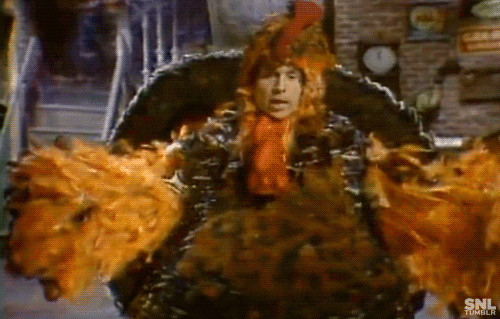 Thanksgiving Turkey Animated Gif
 Paul Simon GIFs Find & on GIPHY