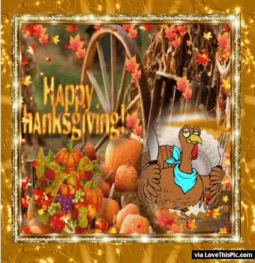 Thanksgiving Turkey Animated Gif
 Animated Thanksgiving Turkey Gif Quote s