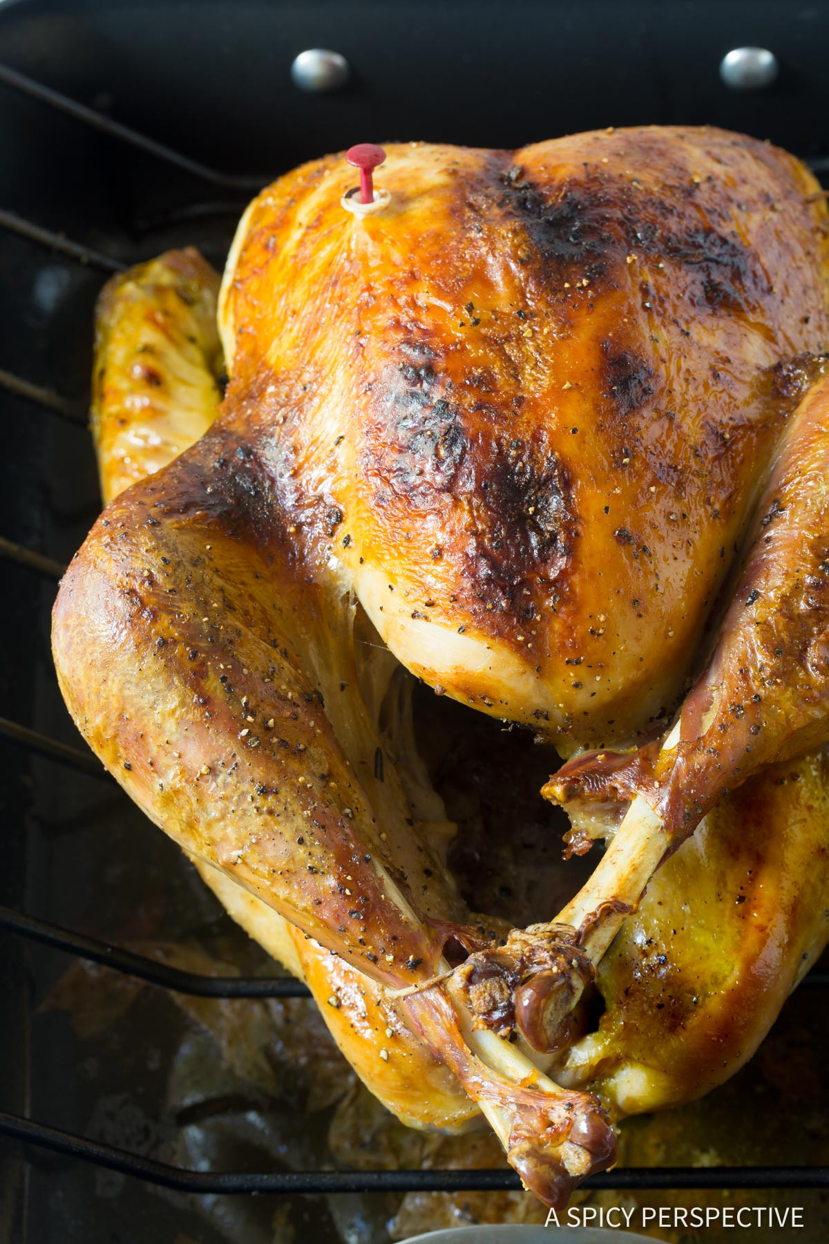 Thanksgiving Turkey Brine
 Best Turkey Brine Recipe A Spicy Perspective