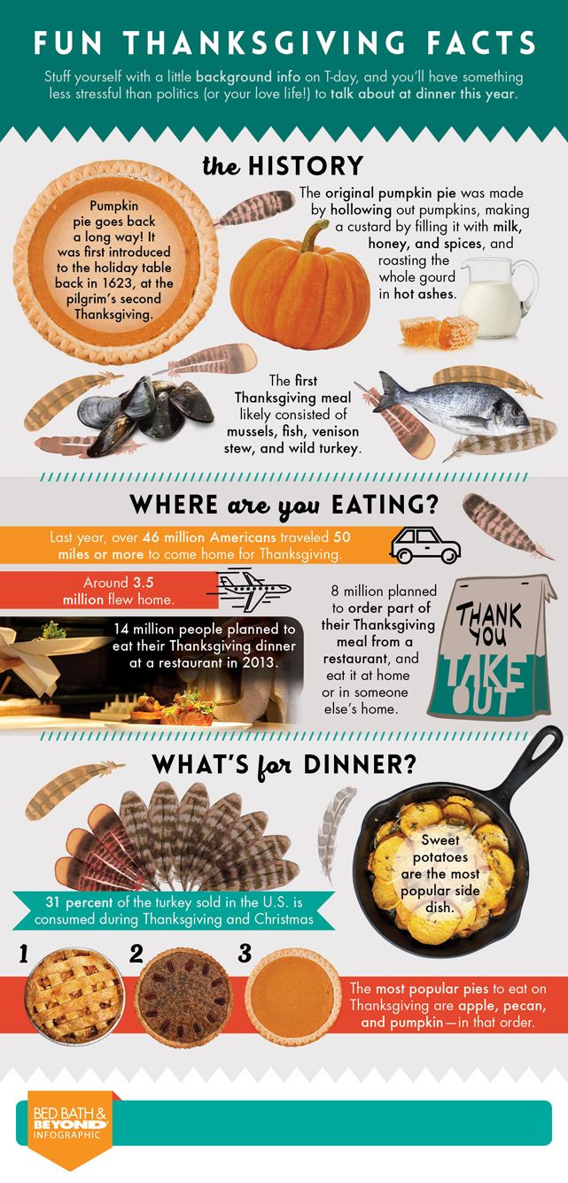 Thanksgiving Turkey Facts
 Best 25 Thanksgiving fun facts ideas on Pinterest