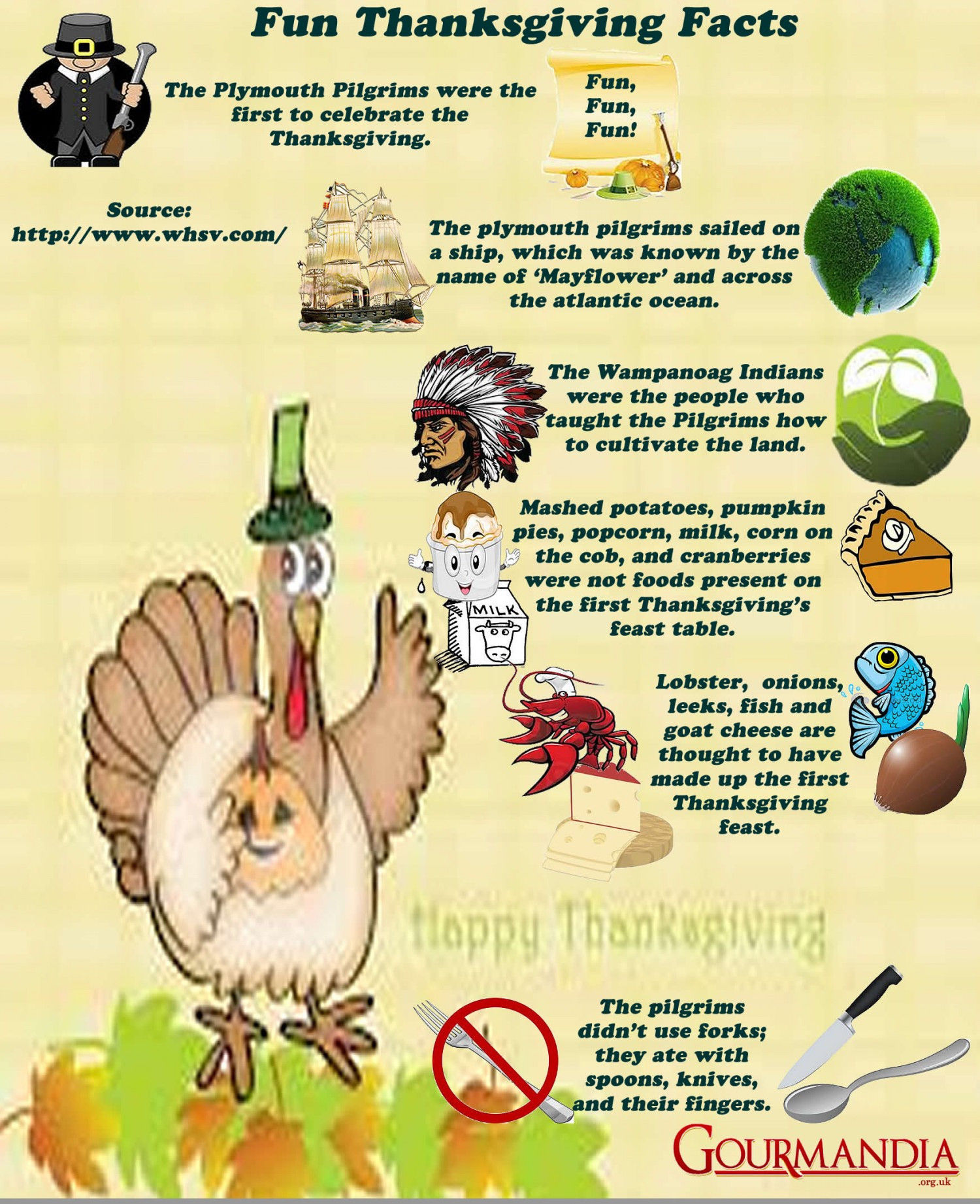 Thanksgiving Turkey Facts
 Fun Thanksgiving Facts