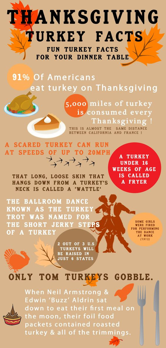 Thanksgiving Turkey Facts
 Pinterest • The world’s catalog of ideas