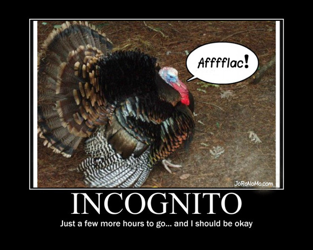 Thanksgiving Turkey Funny
 Funny Turkey Pics on Pinterest