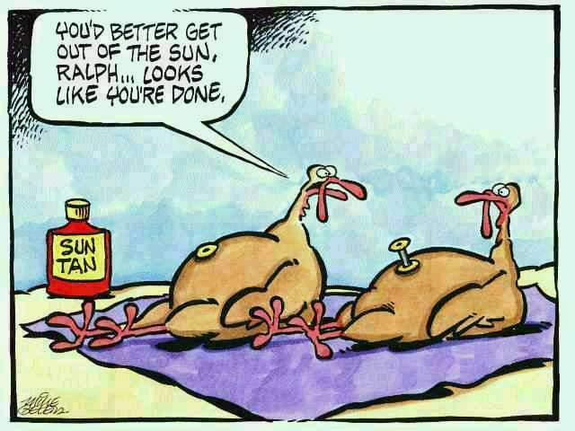 Thanksgiving Turkey Funny
 Rick s Time Earth Some Thanksgiving Humor