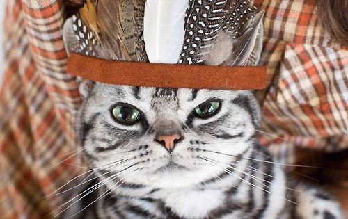 Thanksgiving Turkey Indian Style
 Indian Style CatLover Pinterest