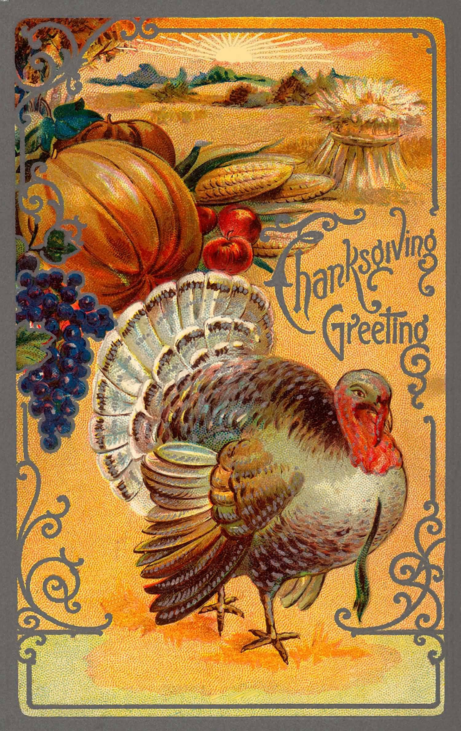 Thanksgiving Turkey Pictures
 70 Best Happy Thanksgiving Day Wish