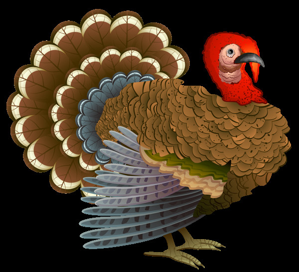 Thanksgiving Turkey Png
 Turkey PNG Clipart