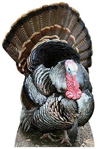 Thanksgiving Turkey Size
 Thanksgiving Turkey Life Size Cardboard Cutout SC2027