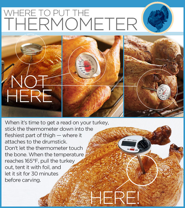 Thanksgiving Turkey Temperature
 Where To Put The Thermometer In a Turkey