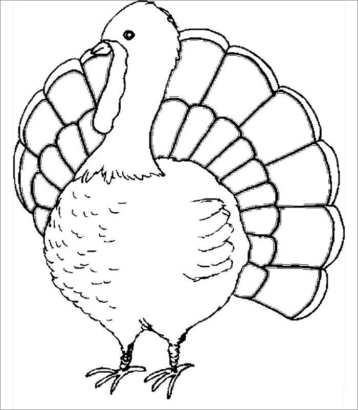 Thanksgiving Turkey Template
 Turkey Template Animal Templates