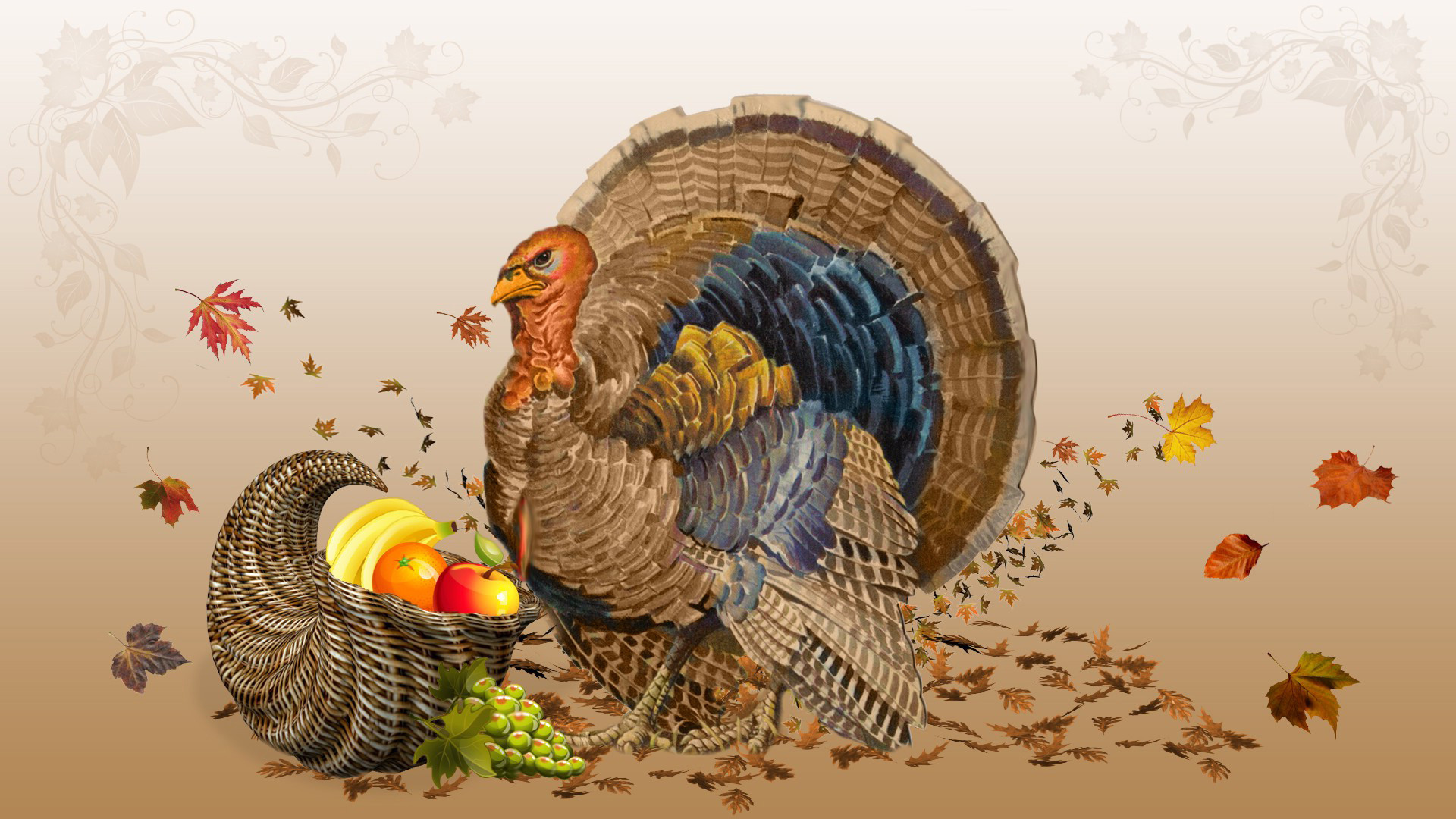 Thanksgiving Turkey Wallpaper
 Thanksgiving Wallpaper Download Desktop Thanksgiving