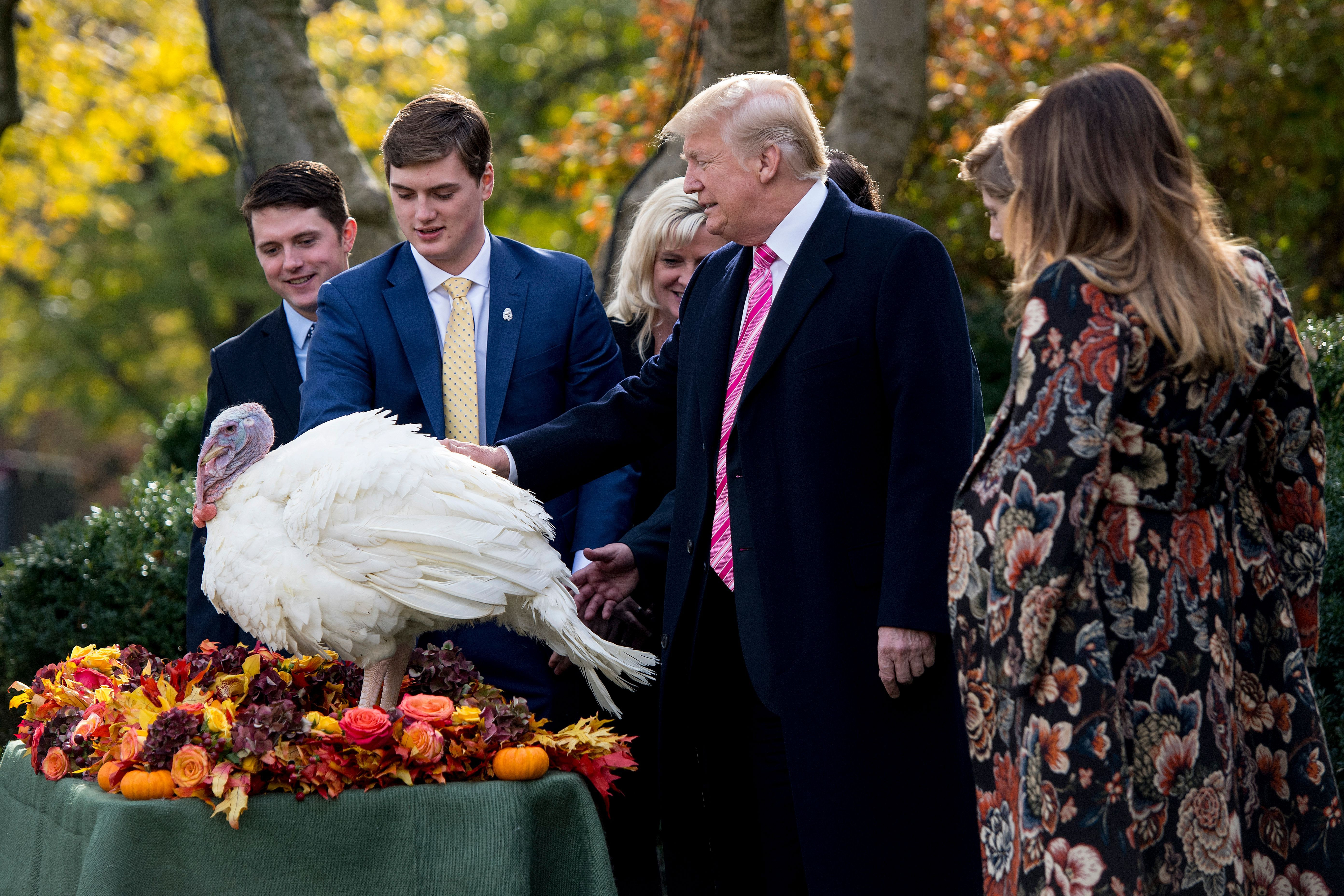 Trump Thanksgiving Turkey
 President Trump Pardons Drumstick the Thanksgiving Turkey