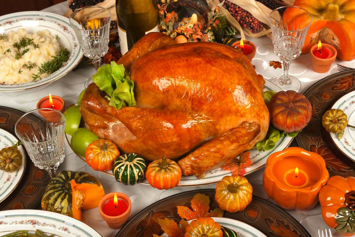 Turkey On Thanksgiving
 turkeys