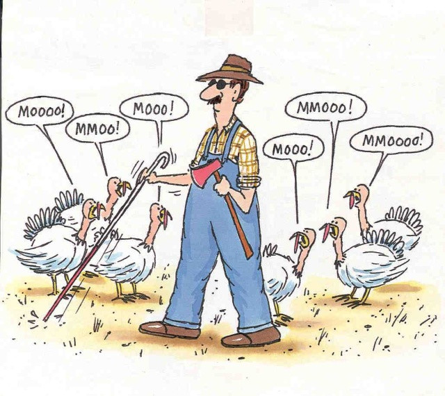 Turkey Puns Thanksgiving
 holidays