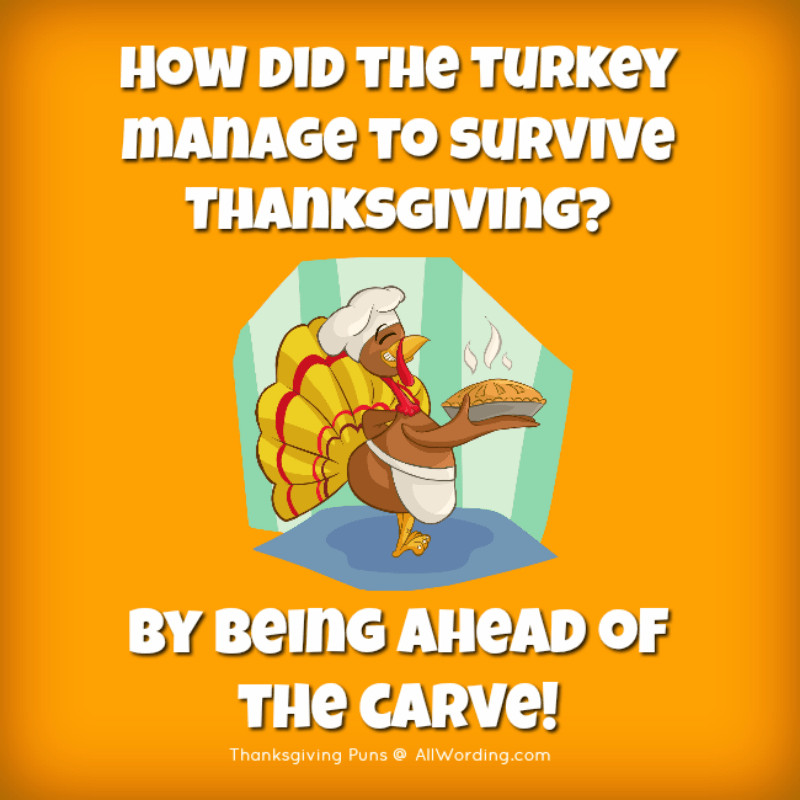Turkey Puns Thanksgiving
 These Thanksgiving Puns are Plucking Hilarious